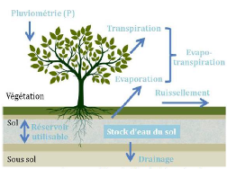 Figure 8. Bilan hydrique (source : (Zeggoud 2020)