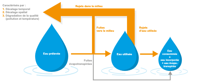 Figure 1. Eau prélevée et eau consommée, deux concepts à distinguer (source : Arambou et al., 2024 – La note d’analyse de France Stratégie)