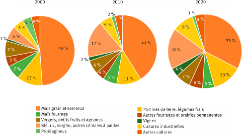 Figure 6. Répartition des surfaces irriguées des principaux groupes de cultures (Scotti et Loubier, 2024)