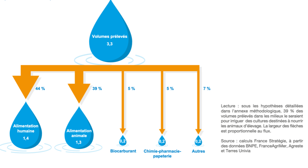 Figure 4 Volumes prélevées en France pour les productions agricoles par usage en aval 2020 – en milliards de m3 (source : Arambou et al., 2024 – La note d’analyse de France Stratégie)