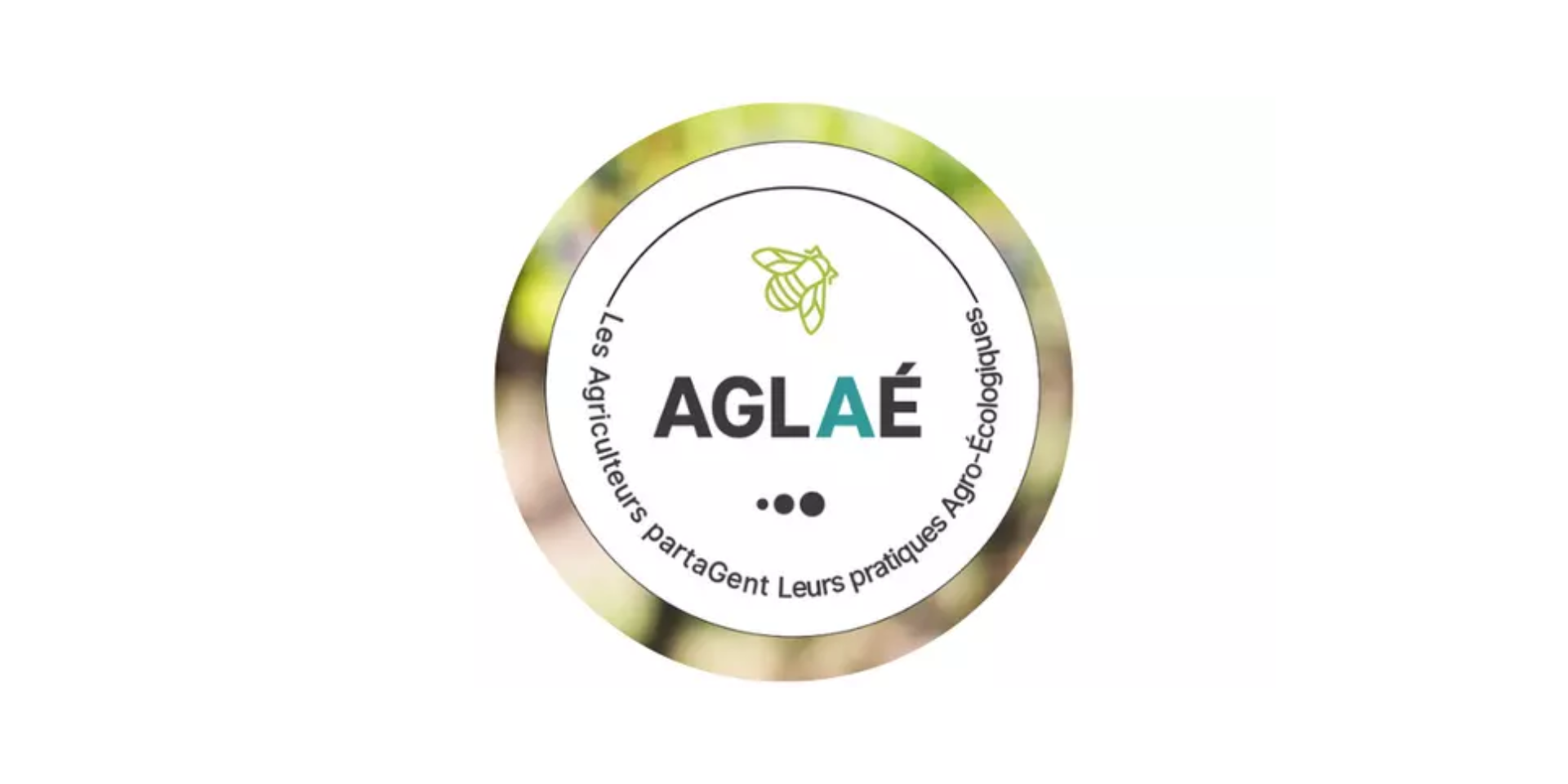 Logo AGLAE