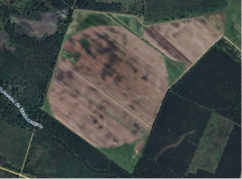 Image satellite des parcelles cultivées : la parcelle circulaire fait 40 ha au total (19 ha en maïs grain et le reste en soja et sorgho)